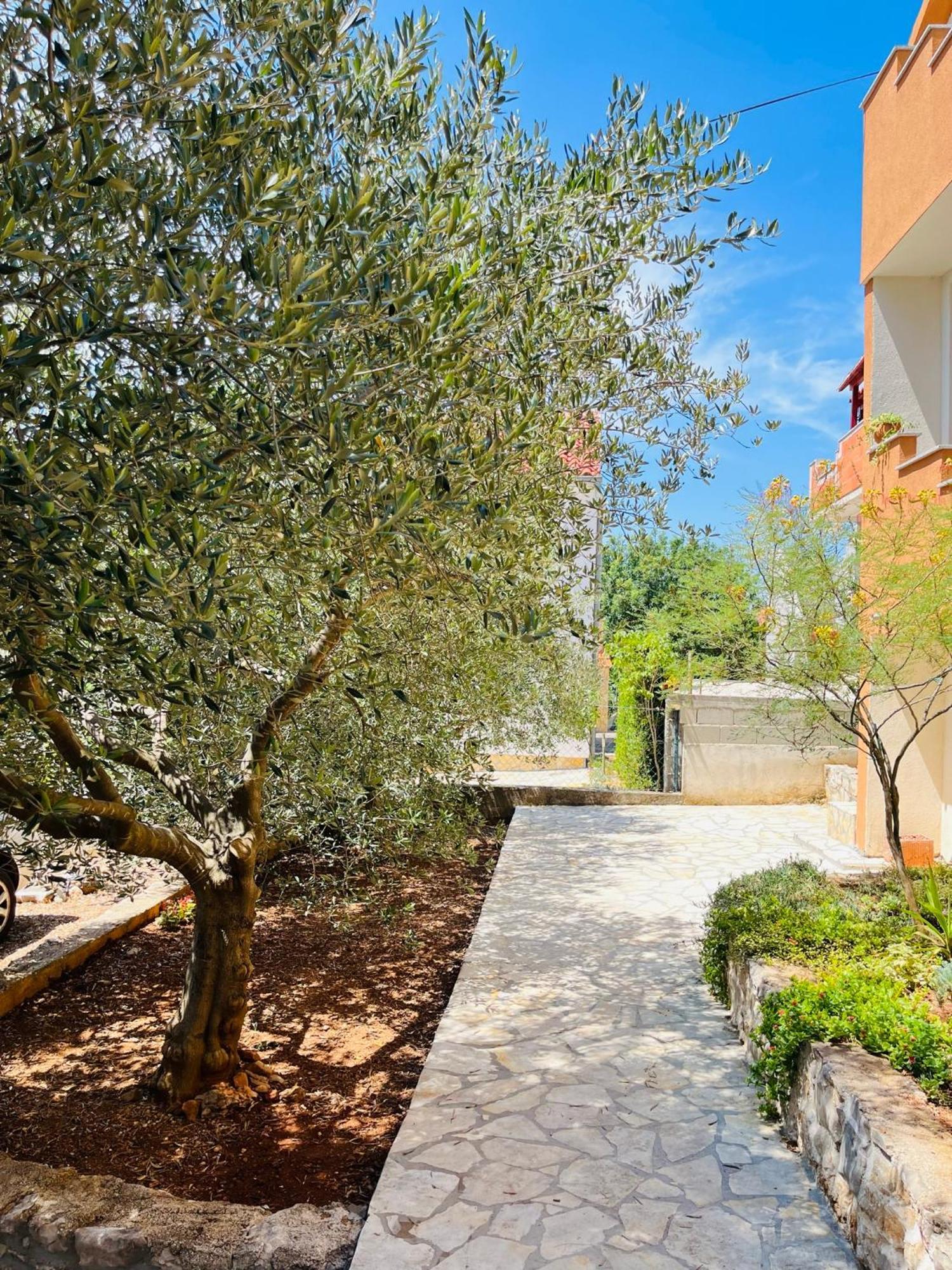 4m Apartament